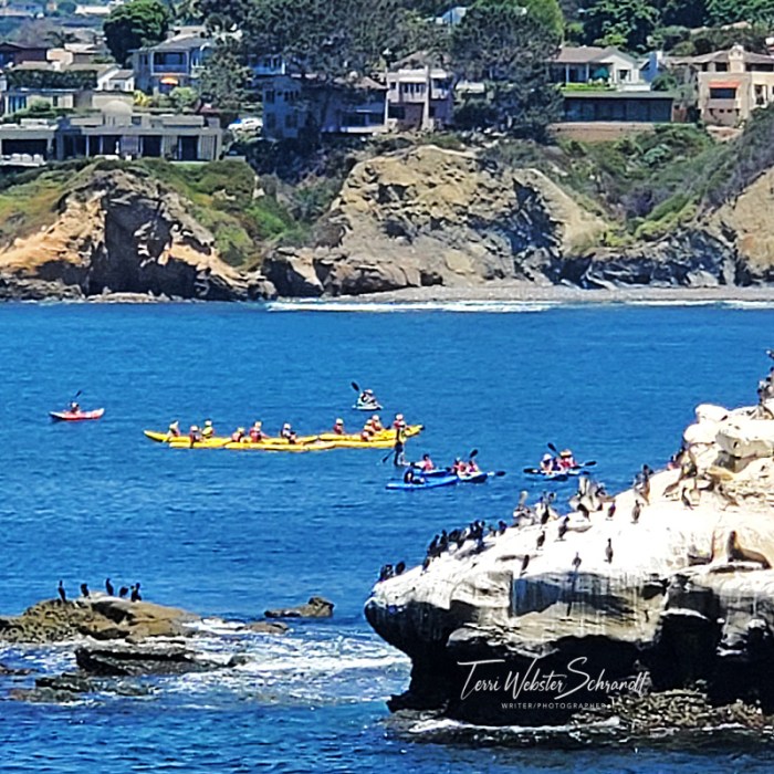 Kayakers at La Jolla