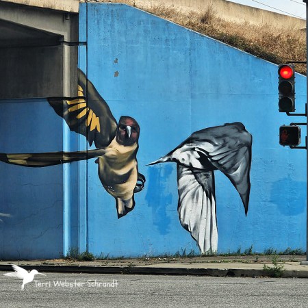 Public Art Hummingbirds