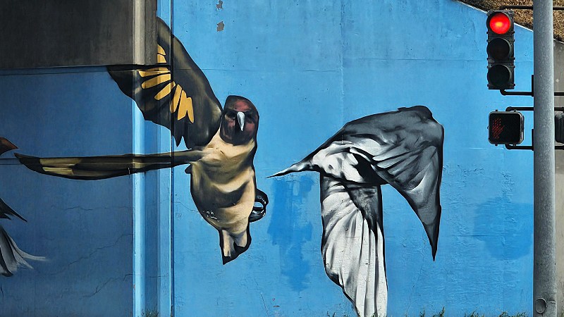 Public Art Hummingbirds