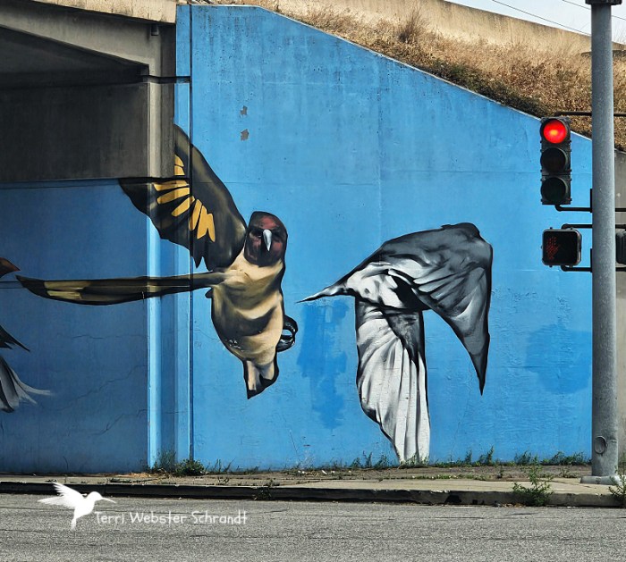 Public Art Hummingbirds