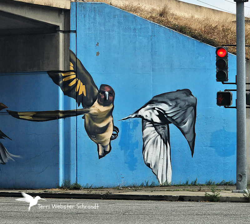 Wordless Wednesday: Gonna Fly&nbsp;Now