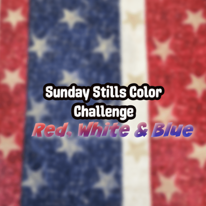 Sunday Stills Monthly Color Challenge: Shades of Red, White, and&nbsp;Blue