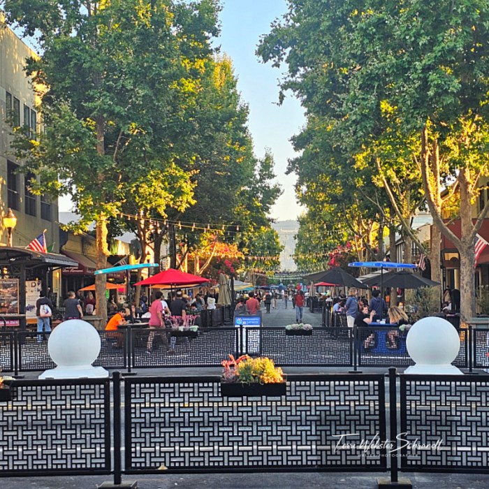 Golden light on city street