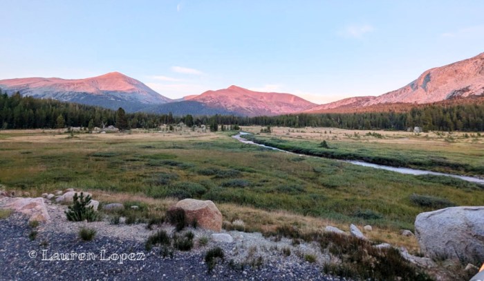 alpenglow on Tuolumne Meadows