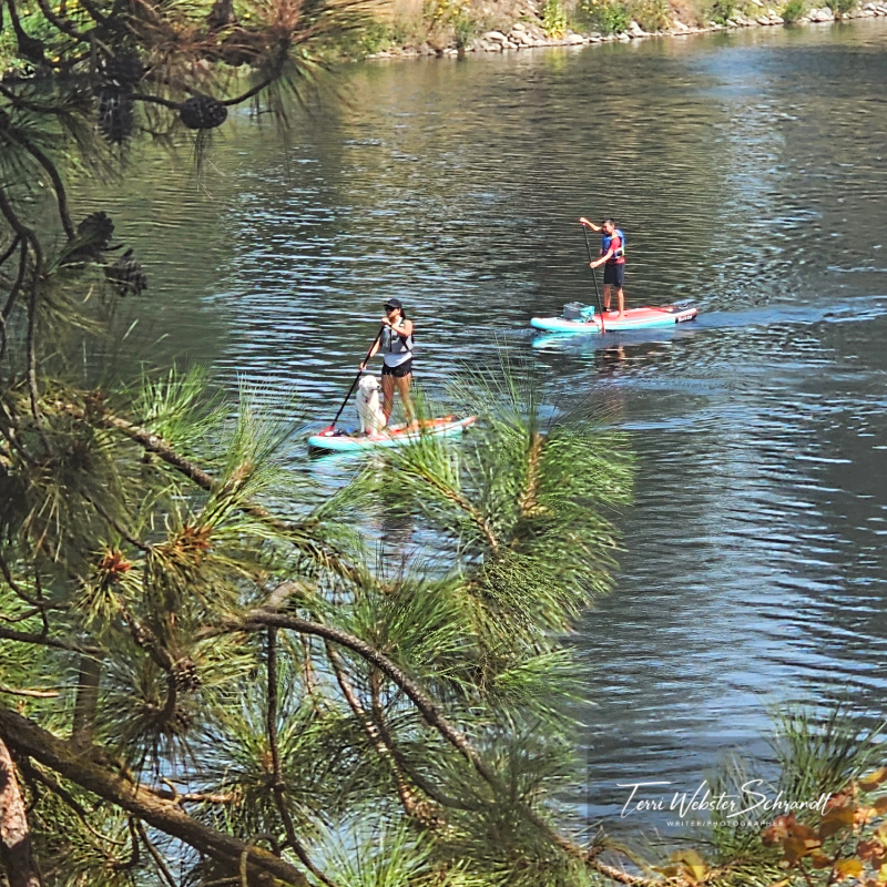 Wordless Wednesday: Exploring&nbsp;Waterscapes