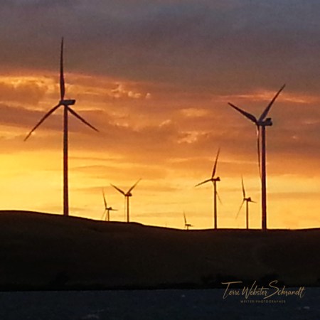 delta sunset wind turbines