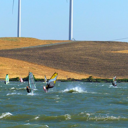 seven windsurfers