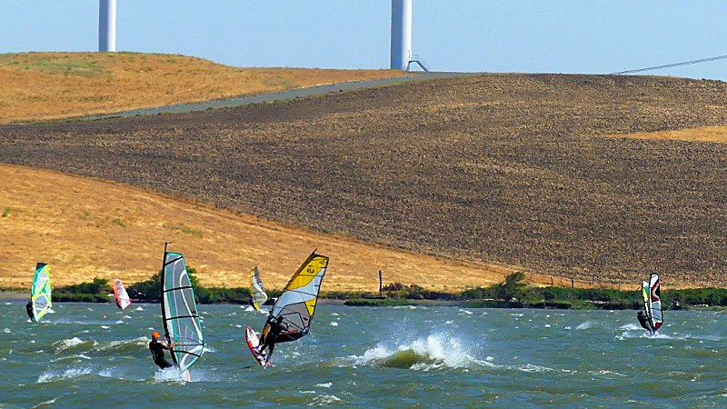 seven windsurfers