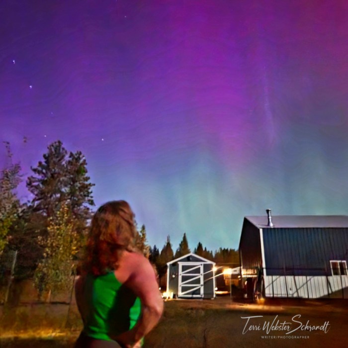 woman looking at northern lights