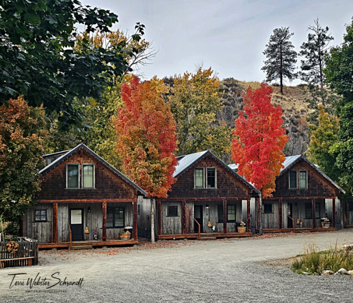 Rustic Cabins