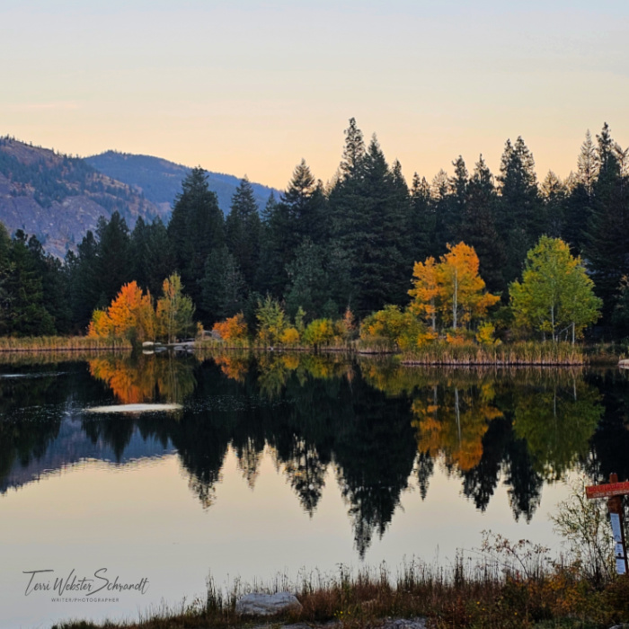 autumn colors at Freestone Inn
