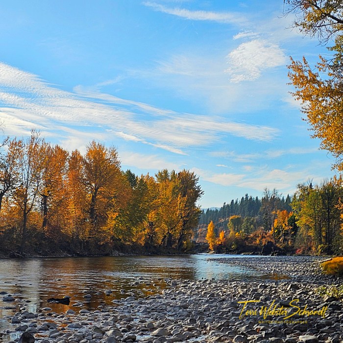 Autumn on Methow River