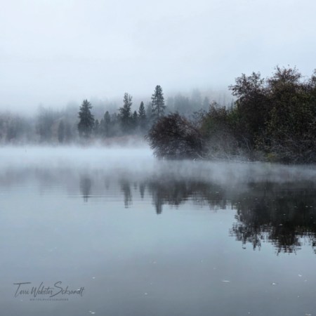 monochrome misty lake