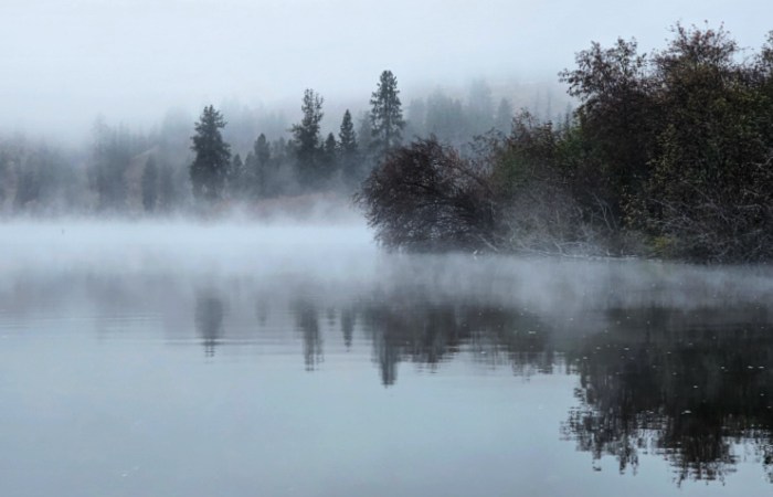 monochrome misty lake