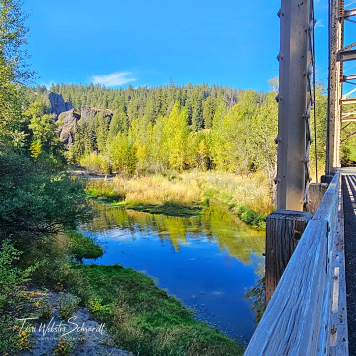 Gold and green at Deep Creek Bridge