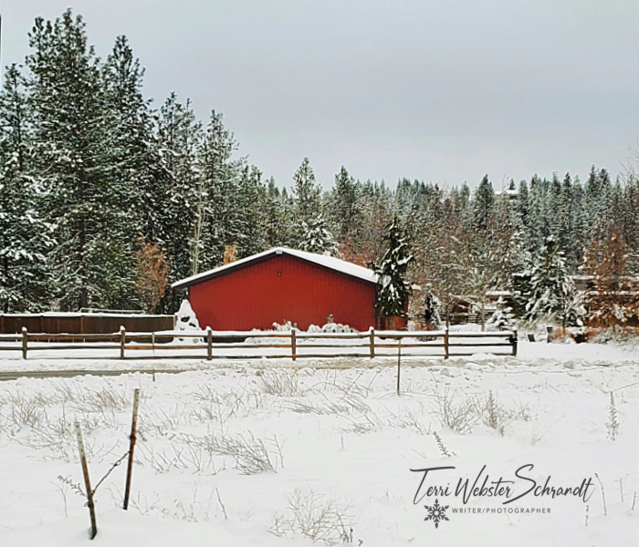 Red barn in snow