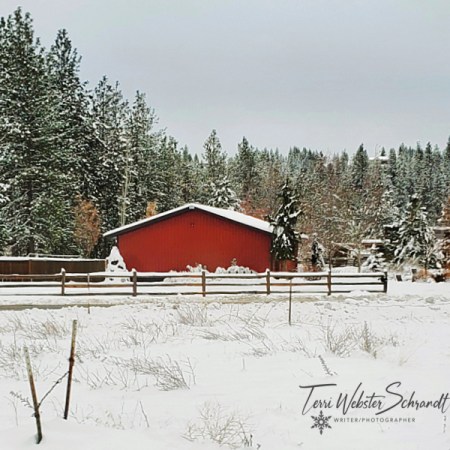 Red barn in snow