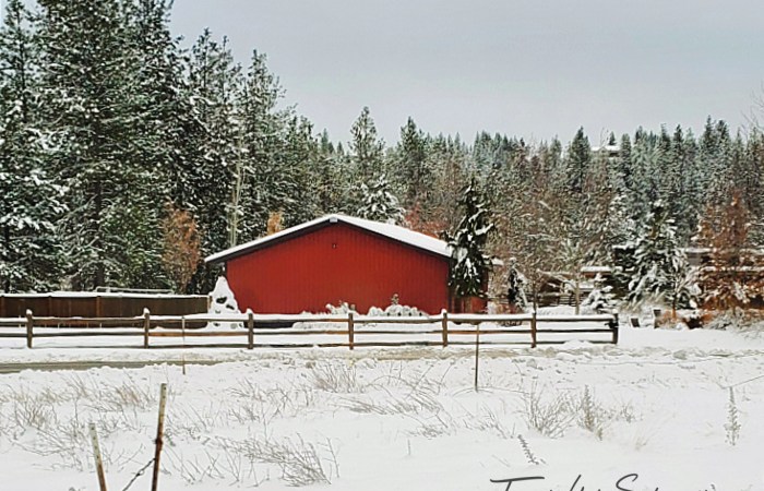 Red barn in snow