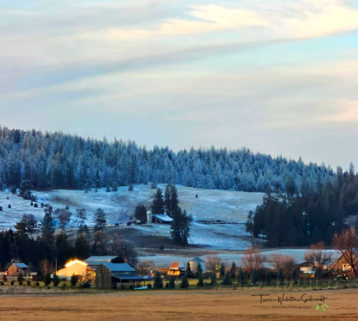 Christmas Eve Landscape