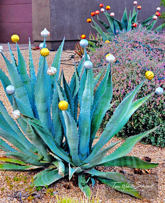 Desert Metallic Decor