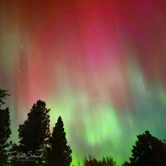 red and green bands of northern lights
