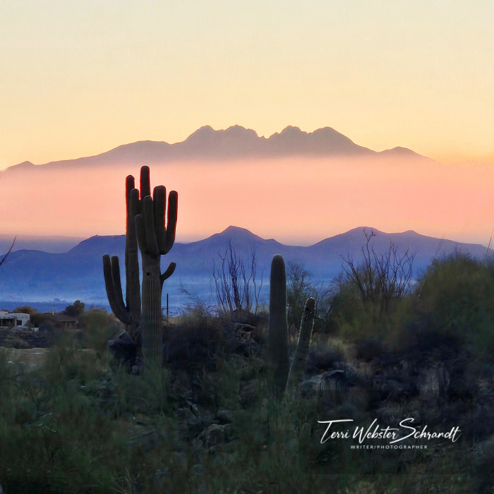 desert sunrise