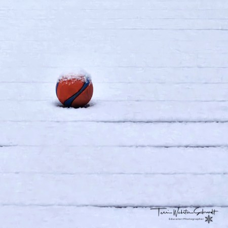 Orange ball in the snow