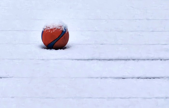 Orange ball in the snow