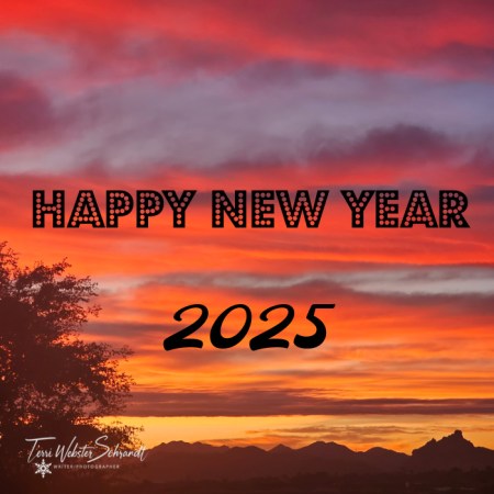 happy new year 2025