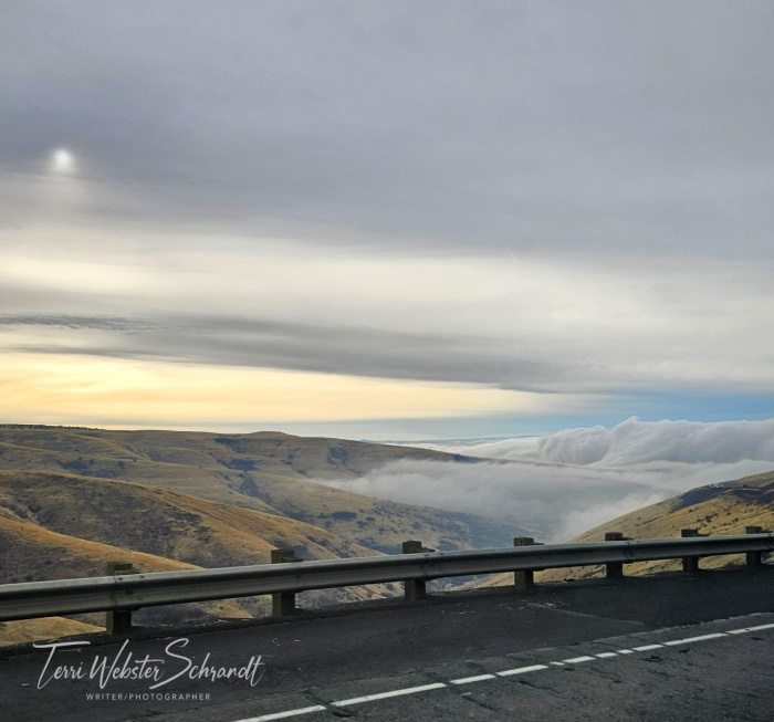 white clouds roll in