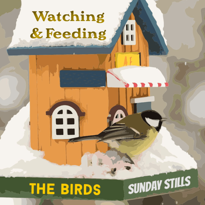 birdhouse graphic