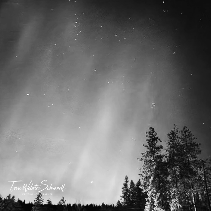 aurora in black and white