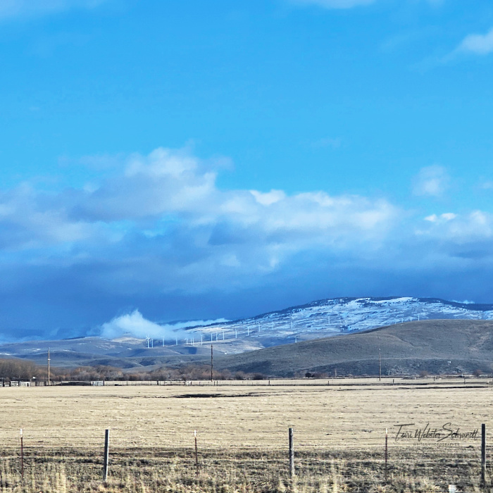 Sunday Stills: Beauty in #Stark&nbsp;Landscapes