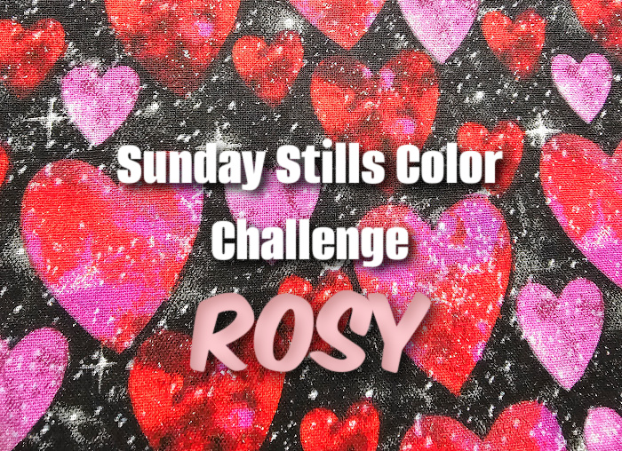 February Monthly Color Challenge: Looking Through #Rose-Colored&nbsp;Glasses