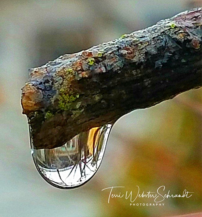 droplet