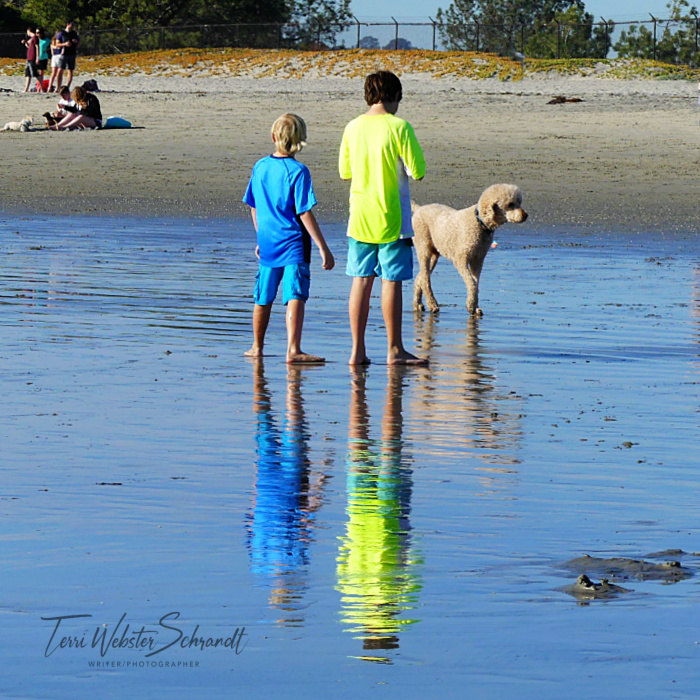 boys and dog