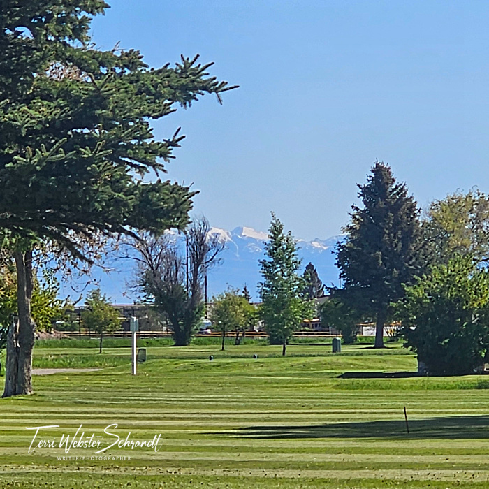 golf course in Montana