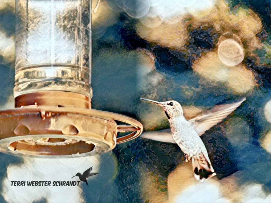 Sunday Stills: The Power of&nbsp;#Flight
