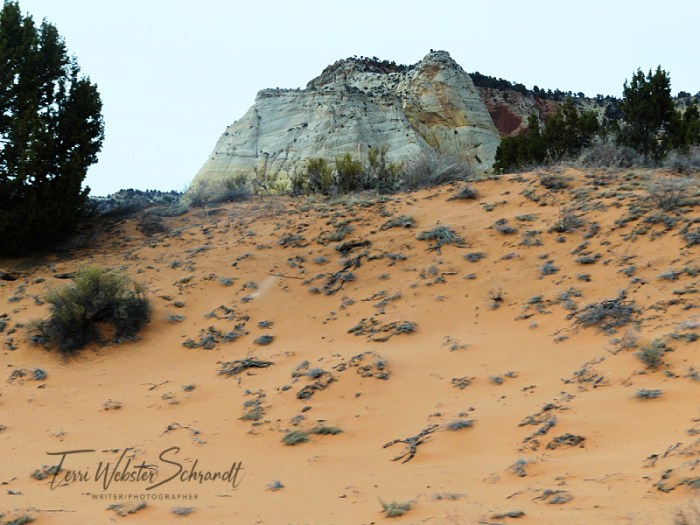 pink sand dunes