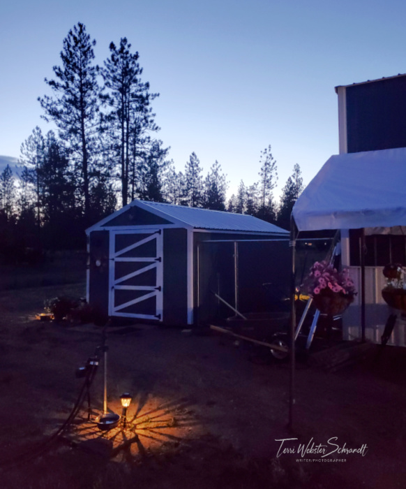 light in the 10pm Eastern WA