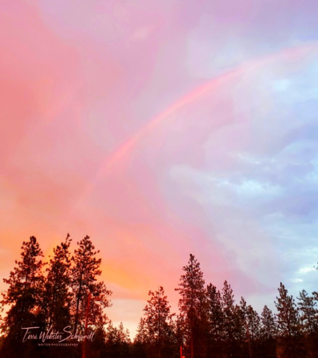 pink rainbow