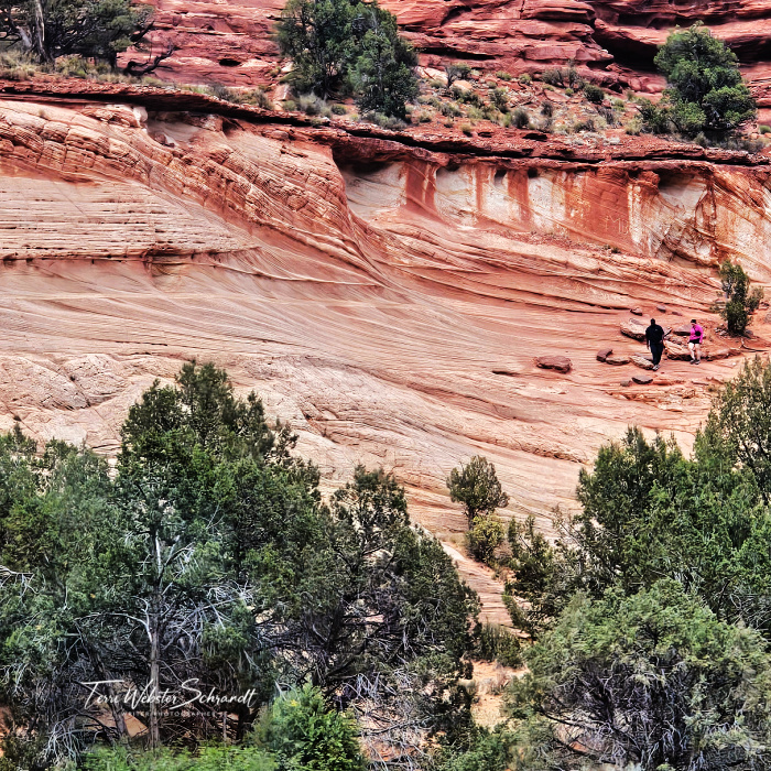 Pink rocks Kanab Utah