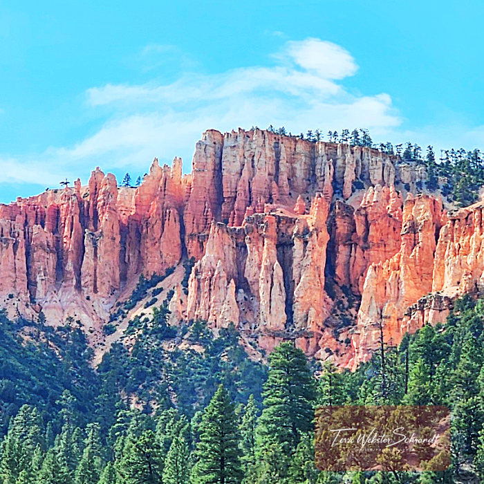 Pink Rock formation Utah