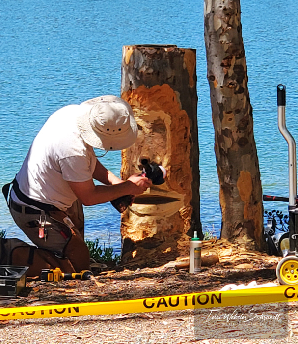 Carving a tree stump