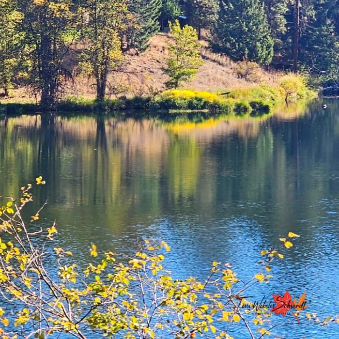 September gold trail