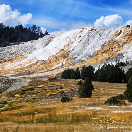 lower terrace view Mammoth Springs