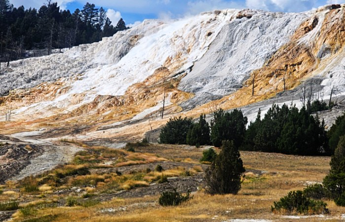 lower terrace view Mammoth Springs