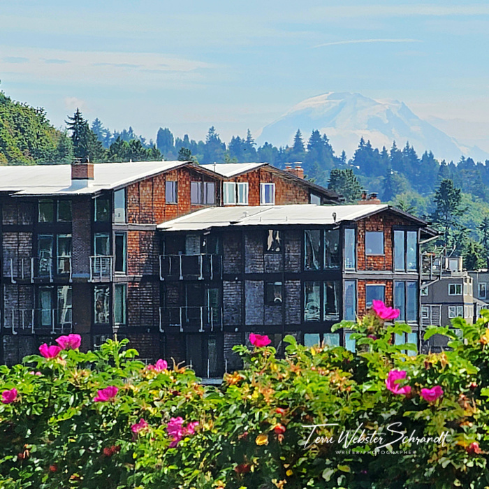 alki beach mt Rainier