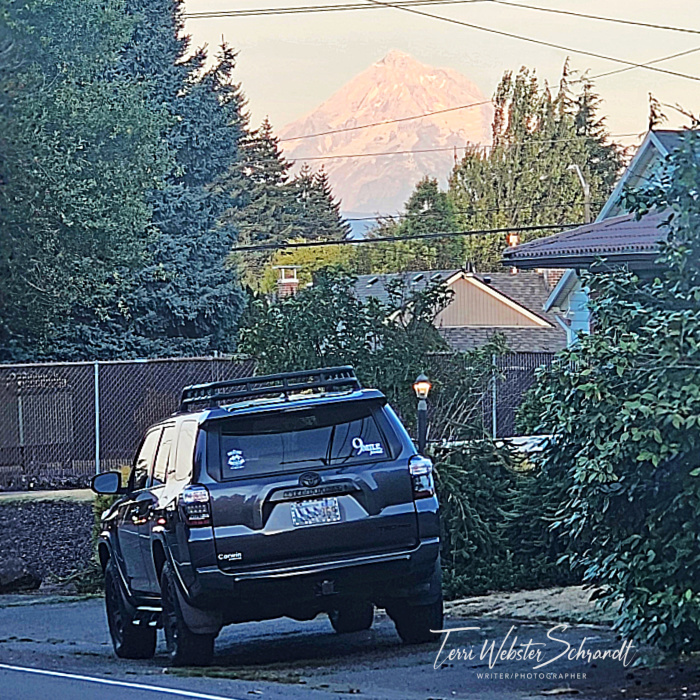 Mt Hood in distance