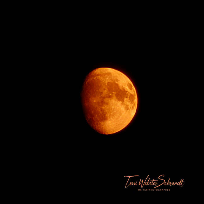 orange moon